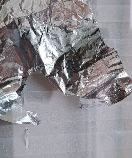Se ptice zaletavajo v vaša okna? Preprost kos folije jih bo ustavil