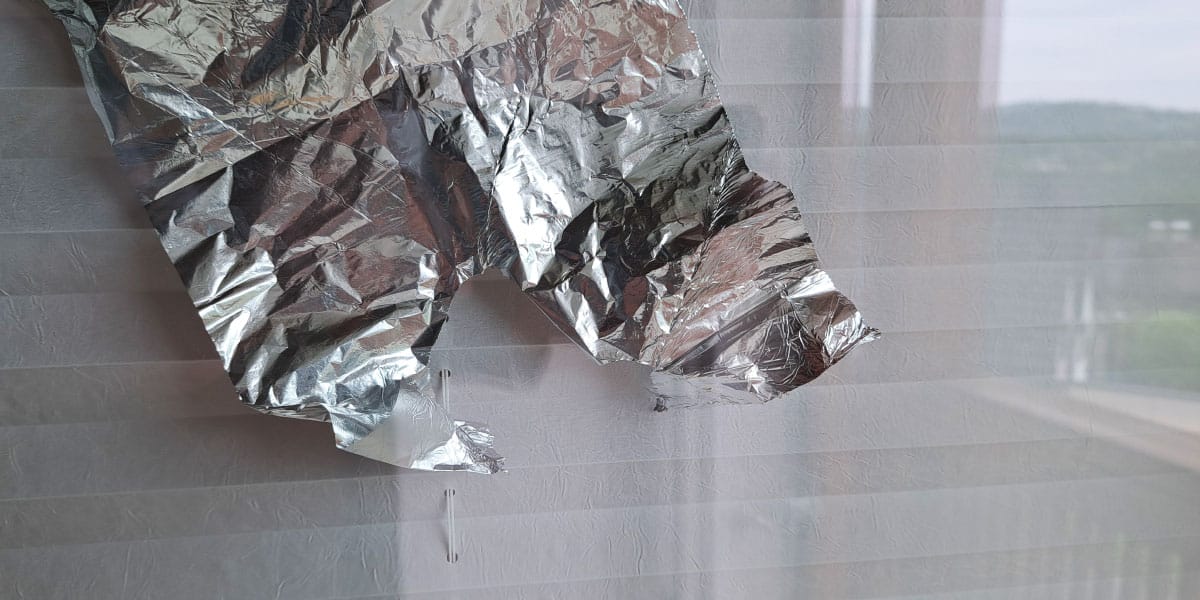 Se ptiči še vedno zaletavajo v okna?