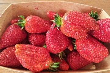 Največje napake pri jagodah, zaradi katerih postanejo plesnive veliko prej