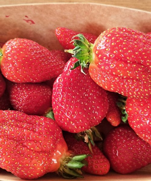 Največje napake pri jagodah, zaradi katerih postanejo plesnive