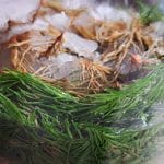 Sladkor v smrekovih vršičkih