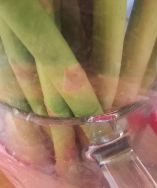 Sveža zelišča tudi po desetih dneh? Tako preprosto jih shranite brez posebne opreme