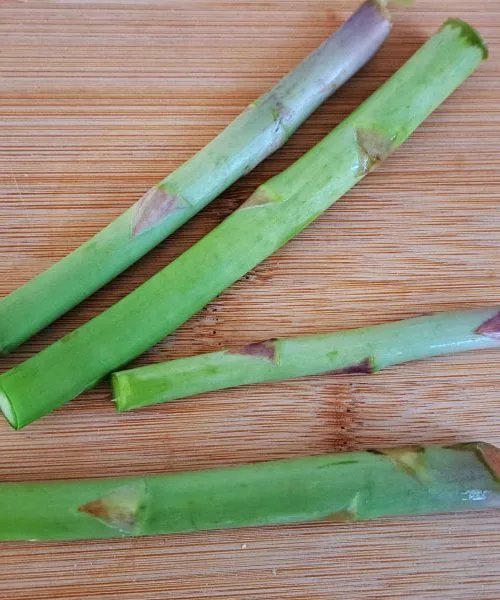 Leseni deli špargljev niso za smeti, uporabite jih pametneje