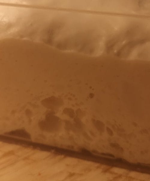 Tako prepoznate, da je vaše testo za kruh vzhajalo do popolnosti