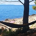 Viseča mreža med borovcema