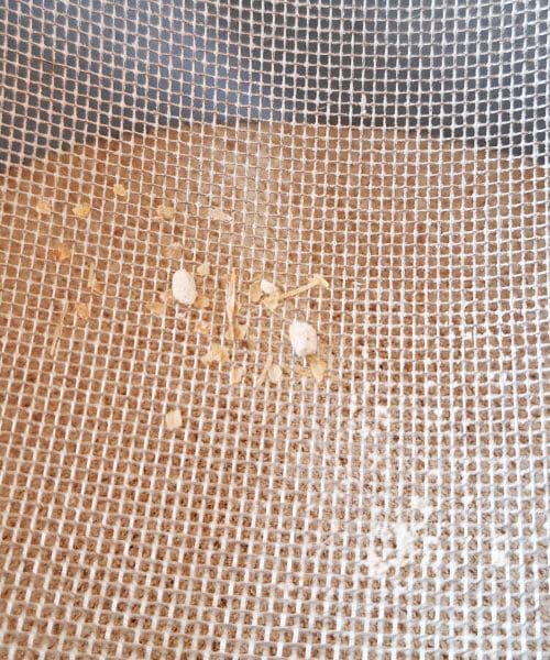 Zakaj izkušeni peki vedno presejejo moko, preden začnejo?