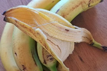 Bananine olupke dajte v steklenico, voda bo uporabna na vrtu in v sadovnjaku