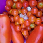 Češnjevi paradižniki