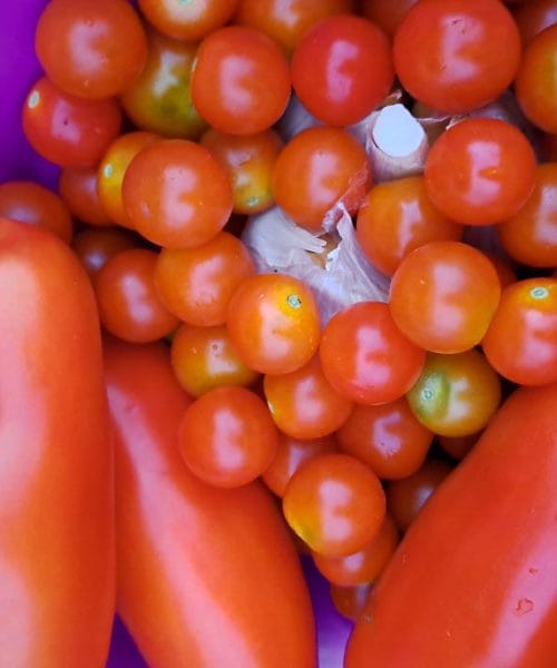 Zamrzovanje celih paradižnikov je preprost trik, ki vam lahko reši zimo