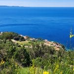 Hrvaški dalmatinski izrazi