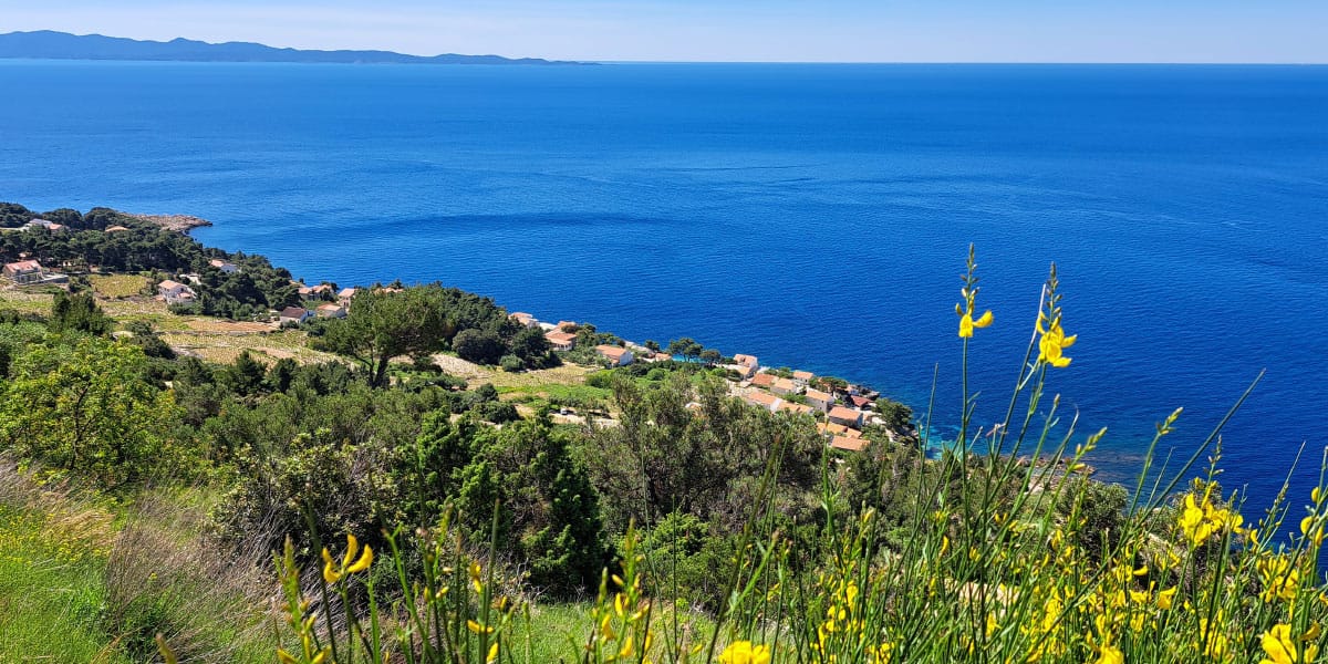 Hrvaški dalmatinski izrazi