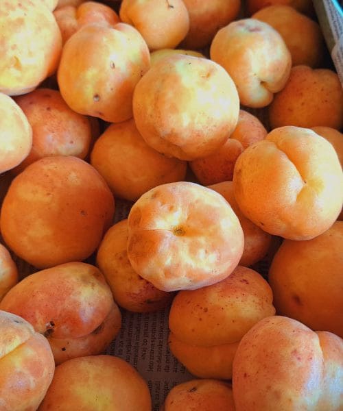 Kako shraniti marelice, da bodo zdržale čim dlje?