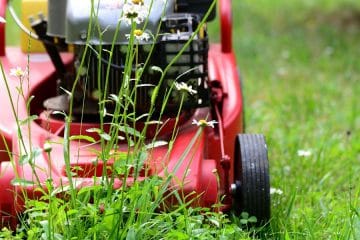 10 stvari, ki jih morate narediti spomladi pred prvo košnjo trate