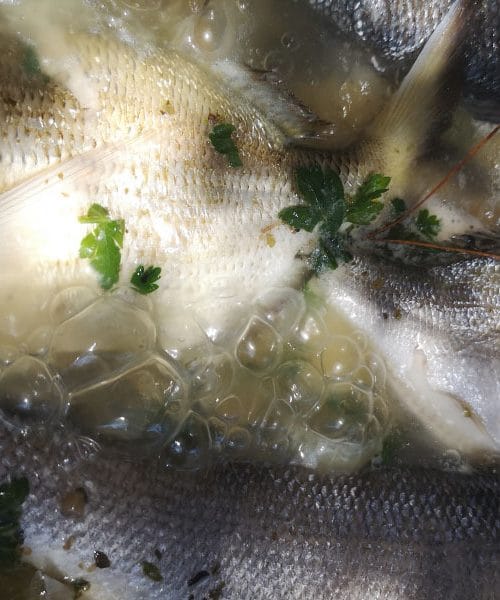 Kuhane morske ribe? Tako jih pripravite, da bodo mehke, okusne in brez neprijetnega vonja