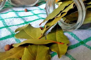 To je začimba, brez katere omaka nikoli ne uspe