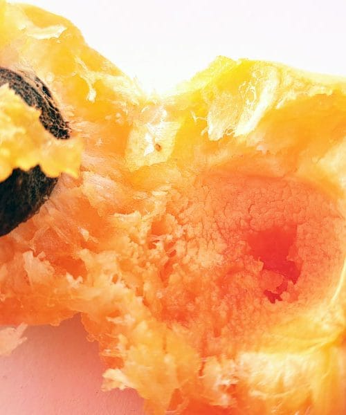 Kam z gnilimi marelicami, ki niso za v marmelado? Lahko kaj naredim iz njih?