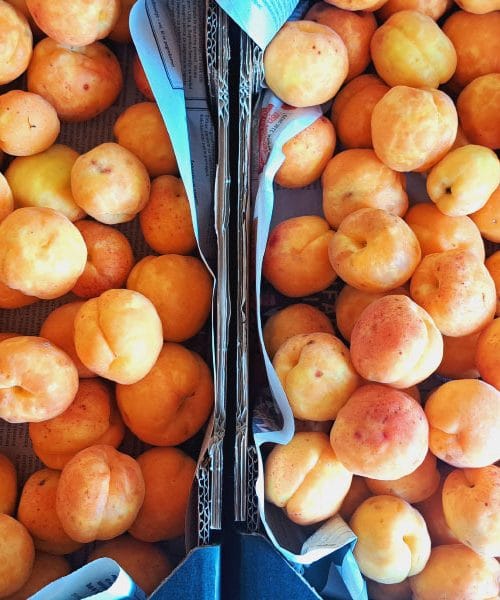 Marelica ni le poletna poslastica – kaj vse zmore to sadje za vaše zdravje