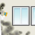 Odstranjevanje plesni