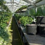 Plastične posode za rože