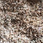 Posušeni bezgovi cvetovi