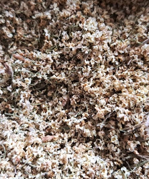 Posušili ste cvetove bezga – in zdaj jih uporabljate še za več kot samo čaj