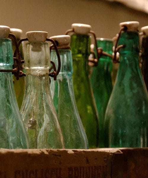 Prazne steklenice imajo lahko v vrtu presenetljivo uporabno vlogo