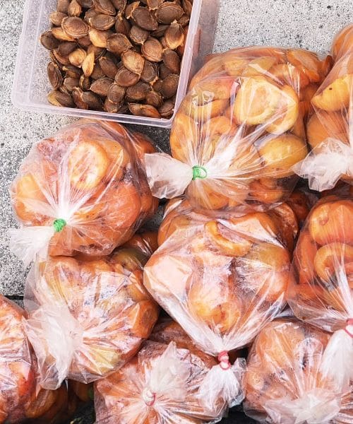 Imate preveč marelic in ne veste, kam z njimi?