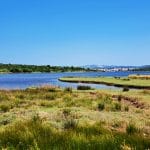 Ivinj, Pirovac, blato