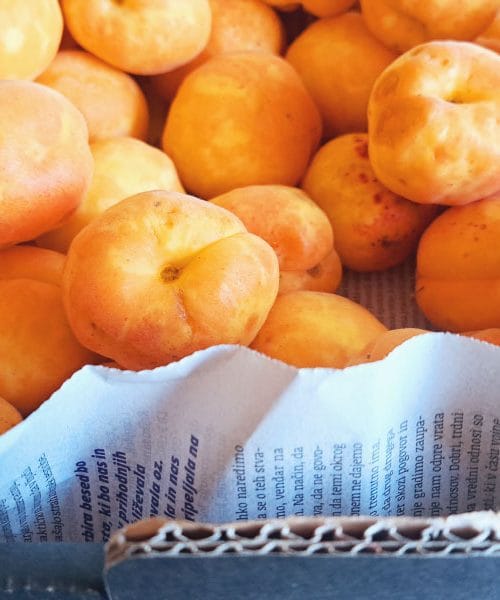 Shranjevanje marelic v kartonski embalaži: zakaj je časopisni papir še vedno najboljši