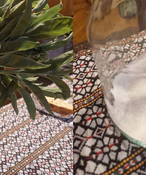 Žajbelj v sladkorju: okusno zdravilo iz babičine shrambe