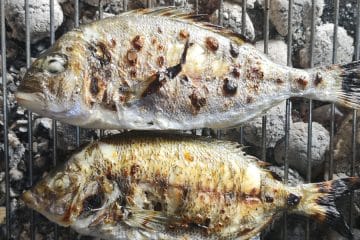 Katero vino ponuditi ob morskih sadežih? Ena napačna izbira lahko prekrije ves okus