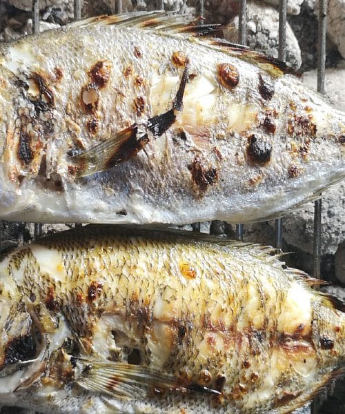 Tako boste spekli morsko ribo, da bo koža hrustljava, meso pa mehko kot maslo