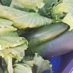 Bučke in solata z domačega vrta