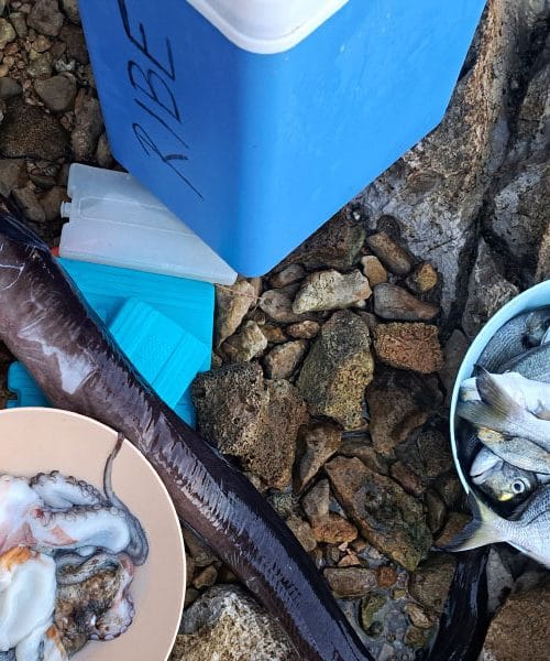 Kako pravilno očistimo ribo, da bo pripravljena za pečenje brez napak