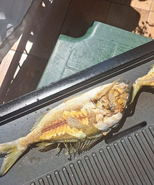 Kako najbolj enostavno speči morske ribe na električnem žaru na domačem balkonu
