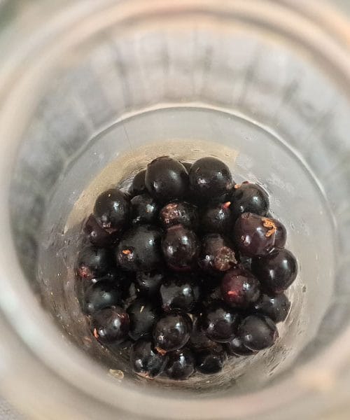 Josta v domačem žganju: koliko časa naj stoji in kakšnega okusa bo