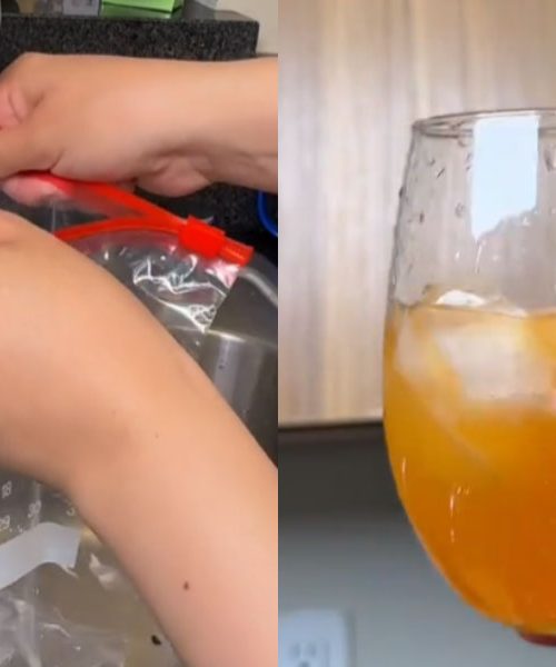 Kako narediti led brez modelčkov: preprost trik, ki ga večina ljudi še ne pozna