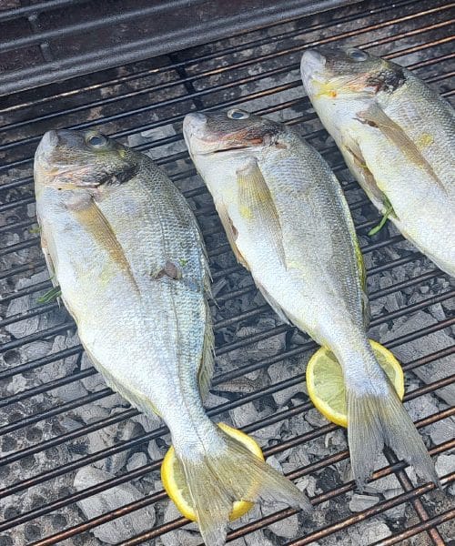 Ne želite, da se vam na žaru zapečejo ribji repi? Pod rep nastavite rezino tega sadja