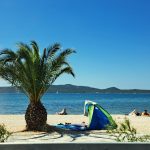 Morje, palme, plaža