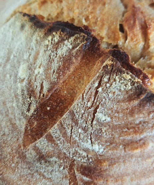 Ržen kruh, ki uspe vsakemu: skrivnost je v preprostosti in hidraciji