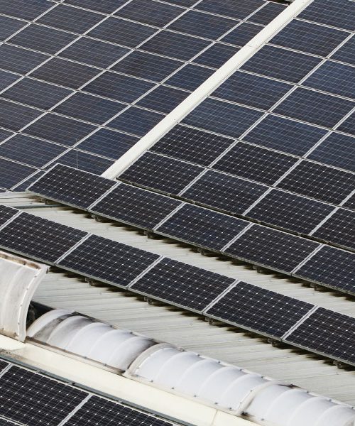 Sončne celice na strehi ali na tleh? Katera rešitev je boljša za vaš dom?