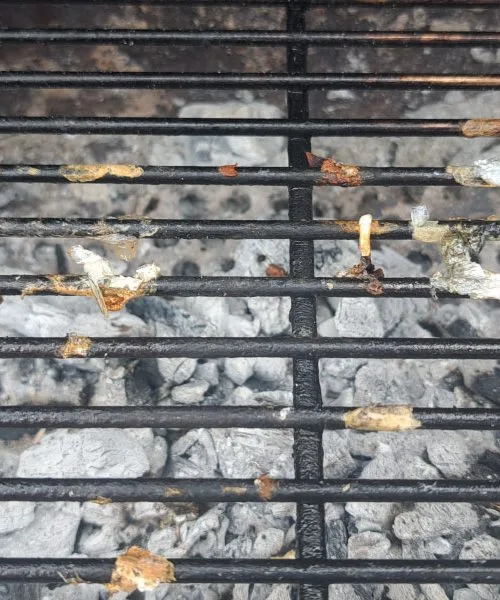 Tako spečete ribo na žaru brez, da bi se ji prilepila koža