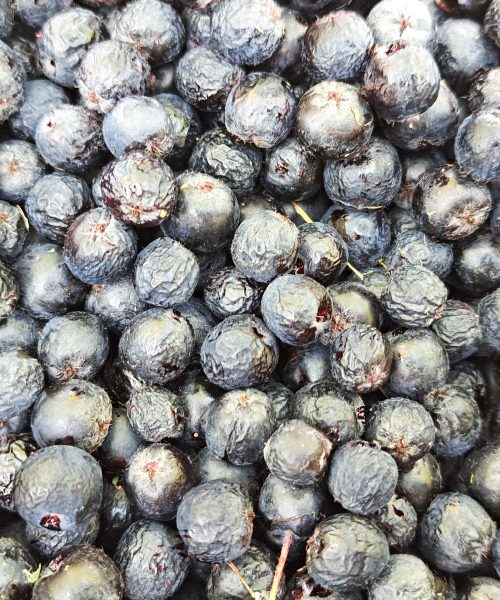 Kako odstraniti madeže aronije z oblačil brez poškodb tkanine