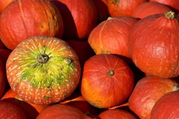 Te buče so najboljše za noč čarovnic