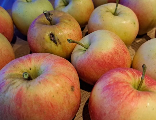 Kupujete jabolka v trgovini? To naredite takoj, ko jih prinesete domov