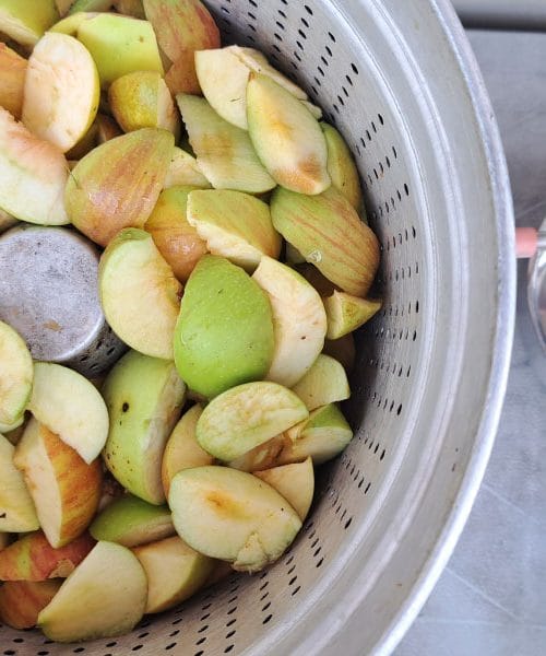 Jabolka v sokovniku – najboljši nasveti za popoln domač sok