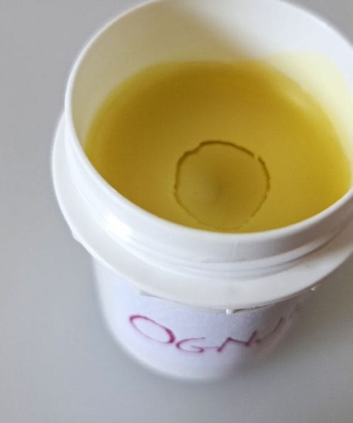 Kako pripraviti domače ognjičevo mazilo, ki res deluje