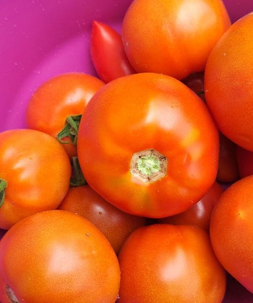 Septembrska tržnica – sadje in zelenjava, ki ju morate izkoristiti