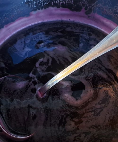 Domač sok iz črnega bezga iz parnega sokovnika