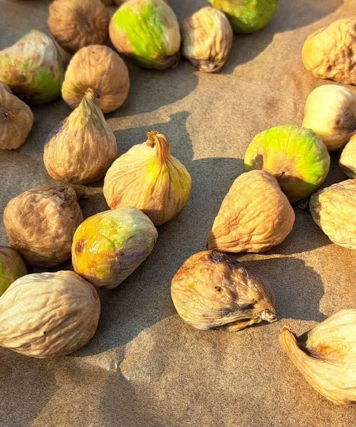 Imate radi suhe fige? Tako jih boste posušili najhitreje